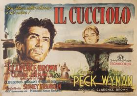Lobby Card 1