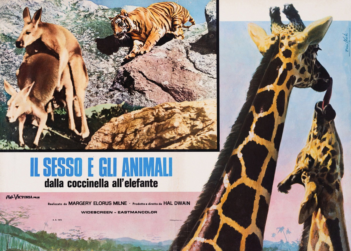 Lobby Card 4 for the film Sex and the Animals (1969), painted by Lorenzo Nistri (Enzo)