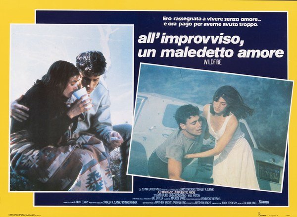 Wildfire - All'improvviso un maledetto amore