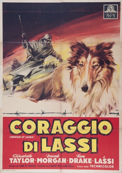 Courage of Lassie