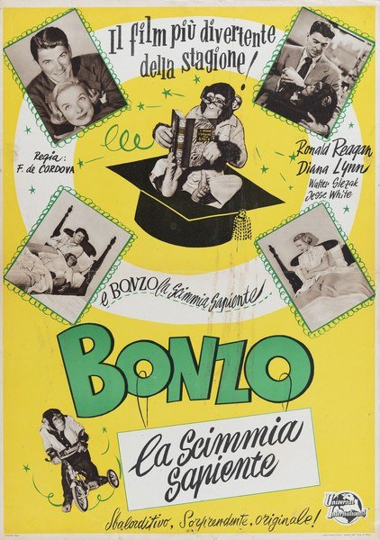 Bonzo, la scimmia sapiente