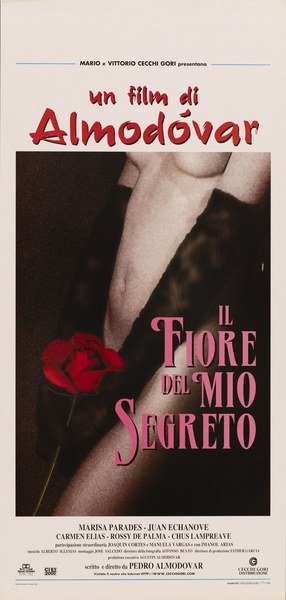 Il fiore del mio segreto