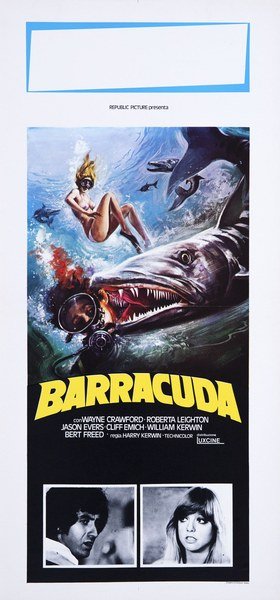 Barracuda
